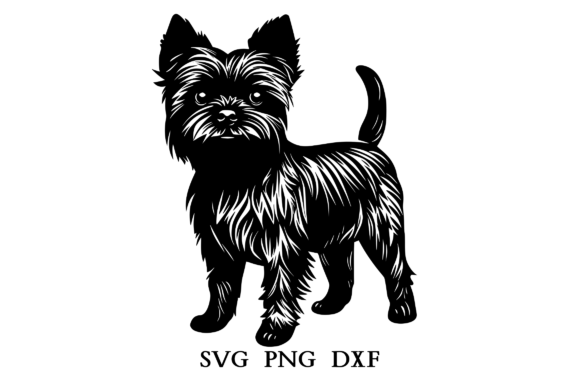 Affenpinscher SVG PNG DXF
