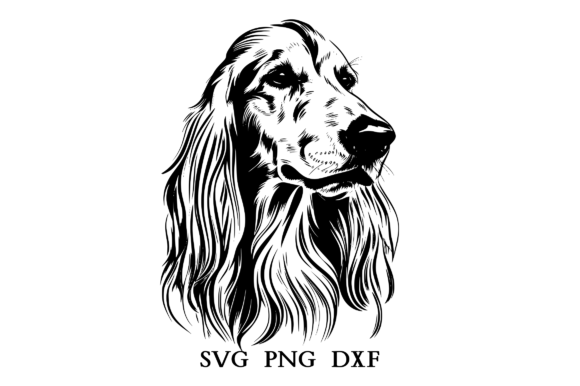 Afghan Hound SVG PNG DXF