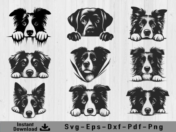 Peeking Labrador Retriever Dog Bundle