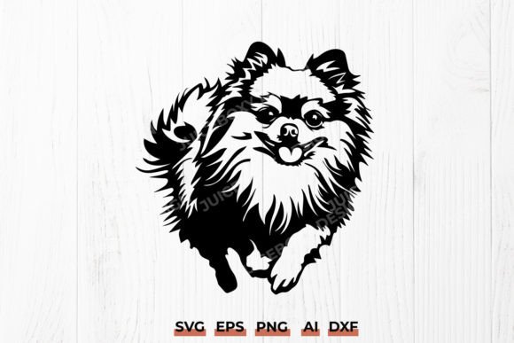 Pomeranian Dog SVG Running Pomeranian